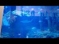 Dubai Aquarium New 2018