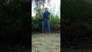 Chamma Chamma#dance #viralsong #love #song #vani #youtubeshorts ...
