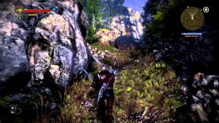 The Witcher 2: Assassins of Kings BUG