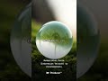 Membalikkan Dunia Indonesian Version