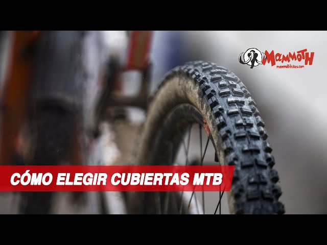 Cómo elegir cubiertas de MTB: Guía definitiva 1/2 