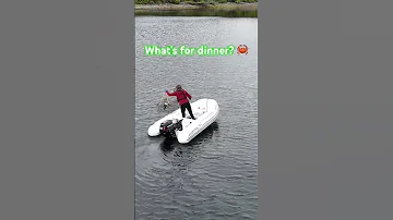 Will There Be Crab Or Do We Need To Defrost The Burger Patties Nordhavn Vlog Boating Crab 