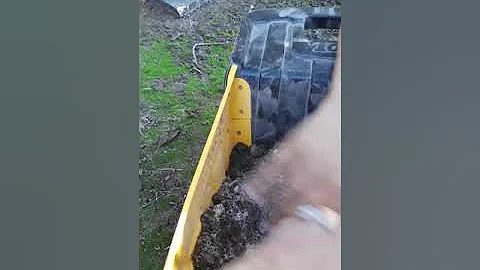 We found worms!