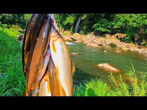 鮎釣りの網 Amazon.co.jp: サンライン(SUNLINE) 鮎 水中糸 ZX複合メタル 12m