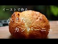 【自宅で作るハード系】イースト仕込みの小さなカンパーニュ　簡単♡可愛いミニサイズ♡