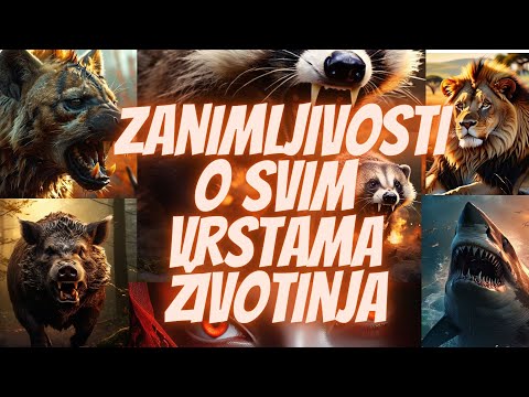 Kompilacija: Zanimljivosti o Svim Vrstama Životinja