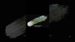 Créer une image ultra stylée avec mask-image en CSS