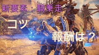 【HorizonForbiddenWest】チャージャーに乗って競争！レースの運び方や報酬について解説！騎乗走