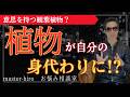 【友人宅の観葉植物が悪い気を吸い取った！？】