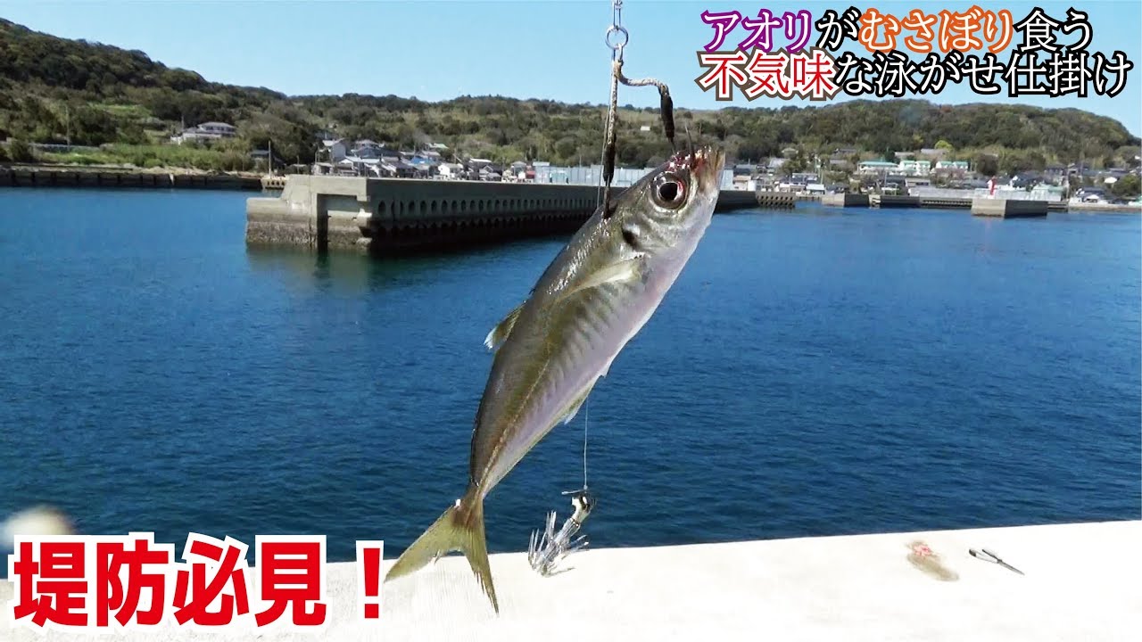 イカが貪り食う不気味な泳がせ釣り仕掛け 509話目 Youtube