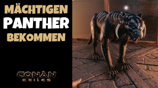 Mächtiger Panther | Tierbegleiter Guide | Conan Exiles