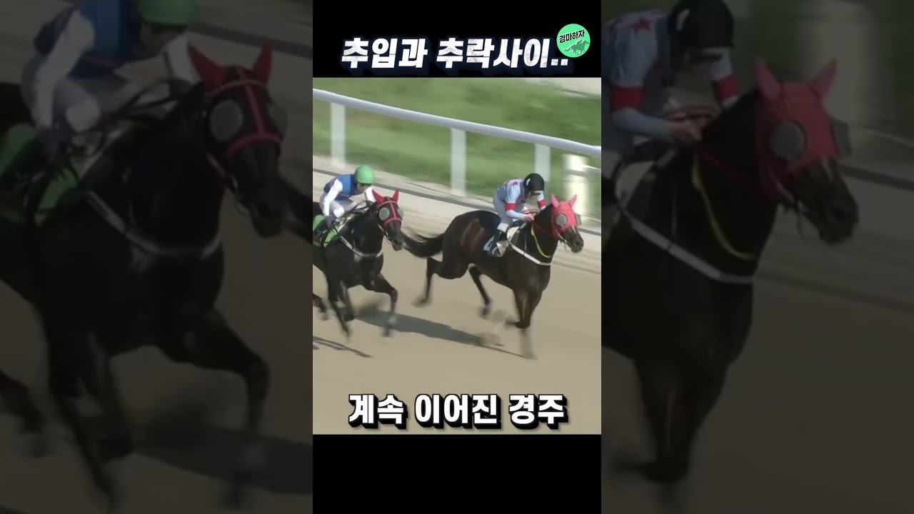 안타까움과 짜릿함이 공존했던 경마! #shorts