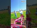 Potato harvest magic! Fresh from the soil