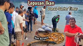 DANAU SUNTER TIMUR BANYAK LEPASAN IKAN