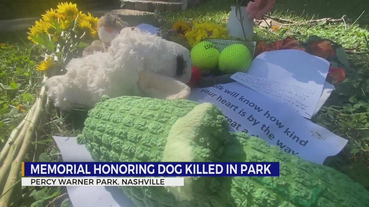 Memorial honoring dog killed set up in park - YouTube