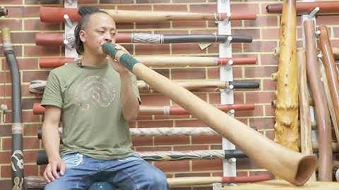 Jesse Lethbridge Didgeridoo - Key of C# (web 6374)