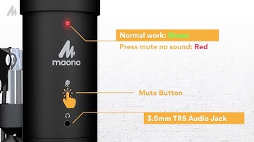 USB Microphone Set 192KHz/24Bit Mute Button MAONO AU-PM401