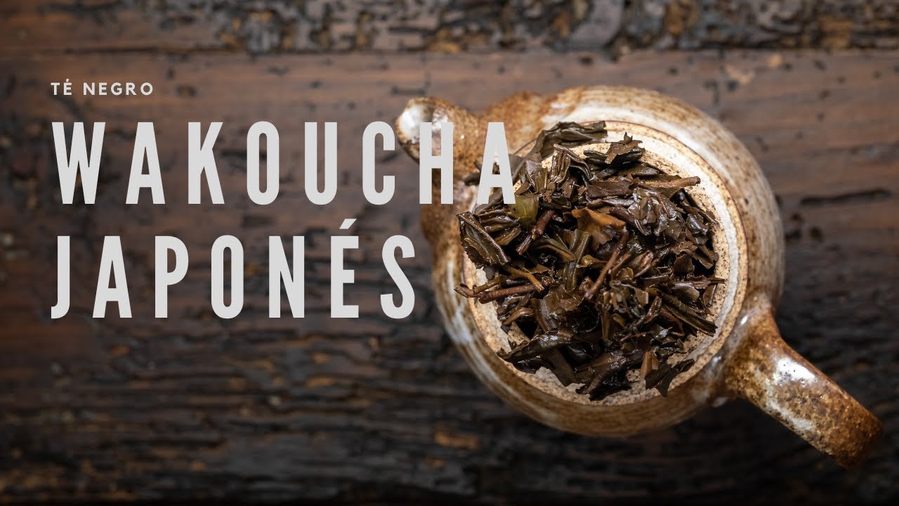 Wakoucha Japonés | Ankori