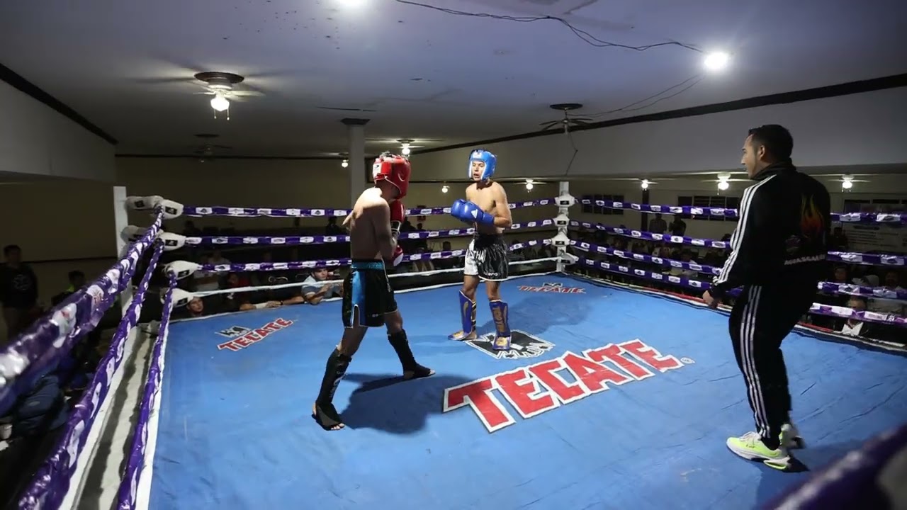 Kick boxing de exhibición