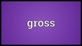 Gross Meaning