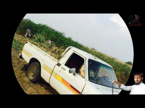 من ذكريات الماضي ربيع قرية مكبب وخميس حرب وناوان من جمع وتقديم علي الشيخي ومونتاج جابرالشيخي