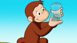 Curious George 🐵Curious George Discovers the Poles🐵Full Episode 🐵 HD 🐵 Cartoons For Children