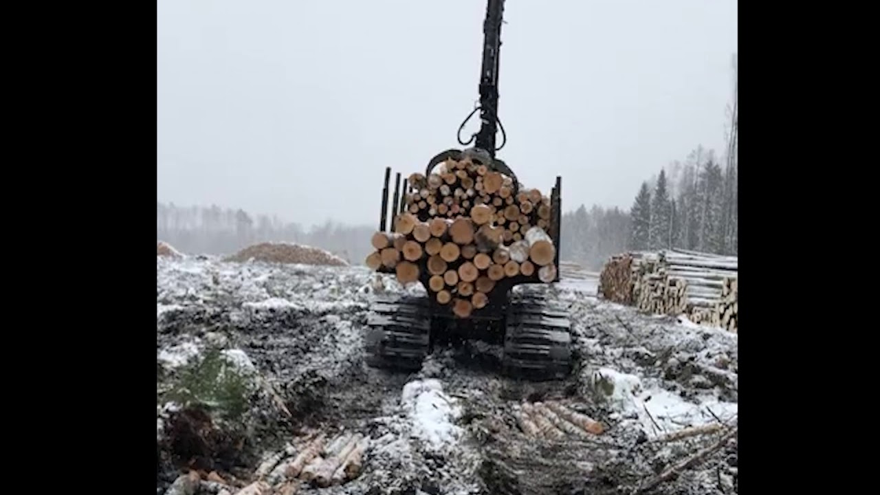 Lintexon winter wood