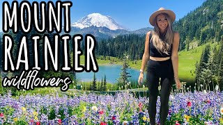 MOST BEAUTIFUL WILDFLOWER HIKE 🌷 Mount Rainier in Washington 🚐 Solo Female Travel EPISODE 80
