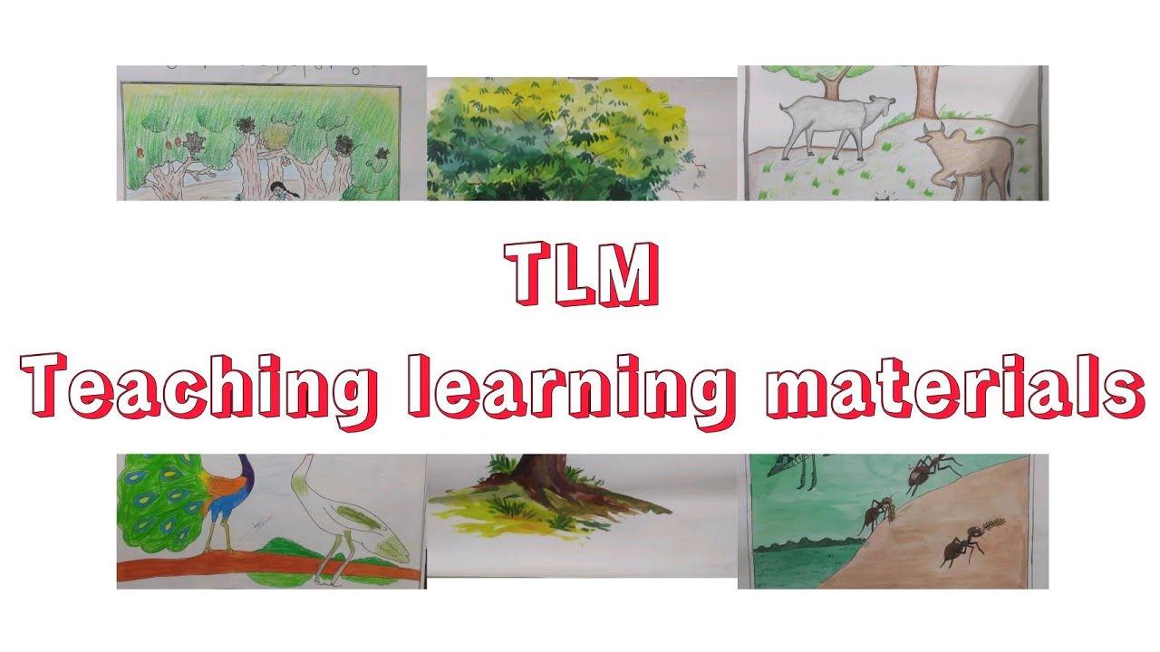 TLM/teaching learning materials FOR DELED/bengali tlm for primary