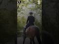 Qualified for Paris Olympics 2024, Meet “Anush Agarwalla” #youtubeshorts #parisolympics #equestrian