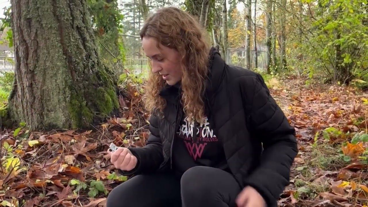 Watch Your Back - Pink Sparkle Shark Productions