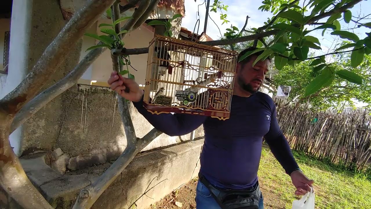 Golinha Predador N° 75 de 2026