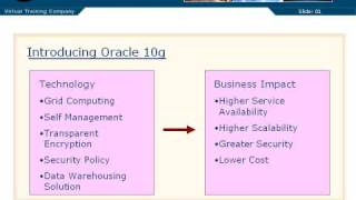 01 03 Introducing Oracle 10g Net Worth
