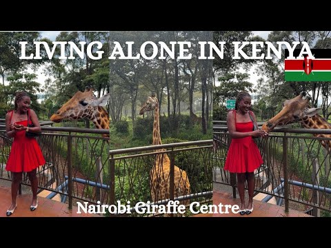 Living Alone In Nairobi Kenya 🇰🇪| Nairobi Giraffe Centre #kenya