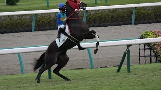 Japanese female jockey Nanako Fujita finished 7th in the race on September 22, 2019.