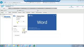 SAP Disclosure Management, Excel Template method Wealth