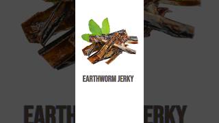 Earthworm Jerky: Interesting facts that will surprise you