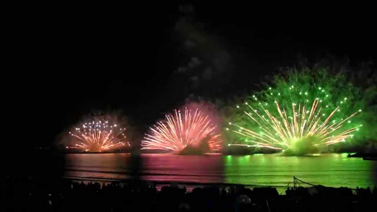 フク様専用 花火大会 その他 Maquillajeenoferta Com