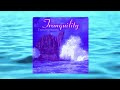 Suzanne Doucet and Chuck Plaisance - Tranquility: Dancing Waves