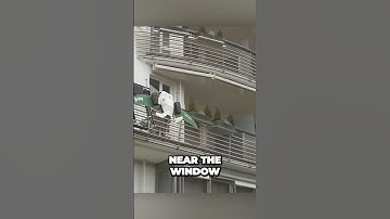 AMAZING deliver DRONE 🤯🚀🎁 #shorts #short #trending #technology #shortvideo #ai #shortvideo