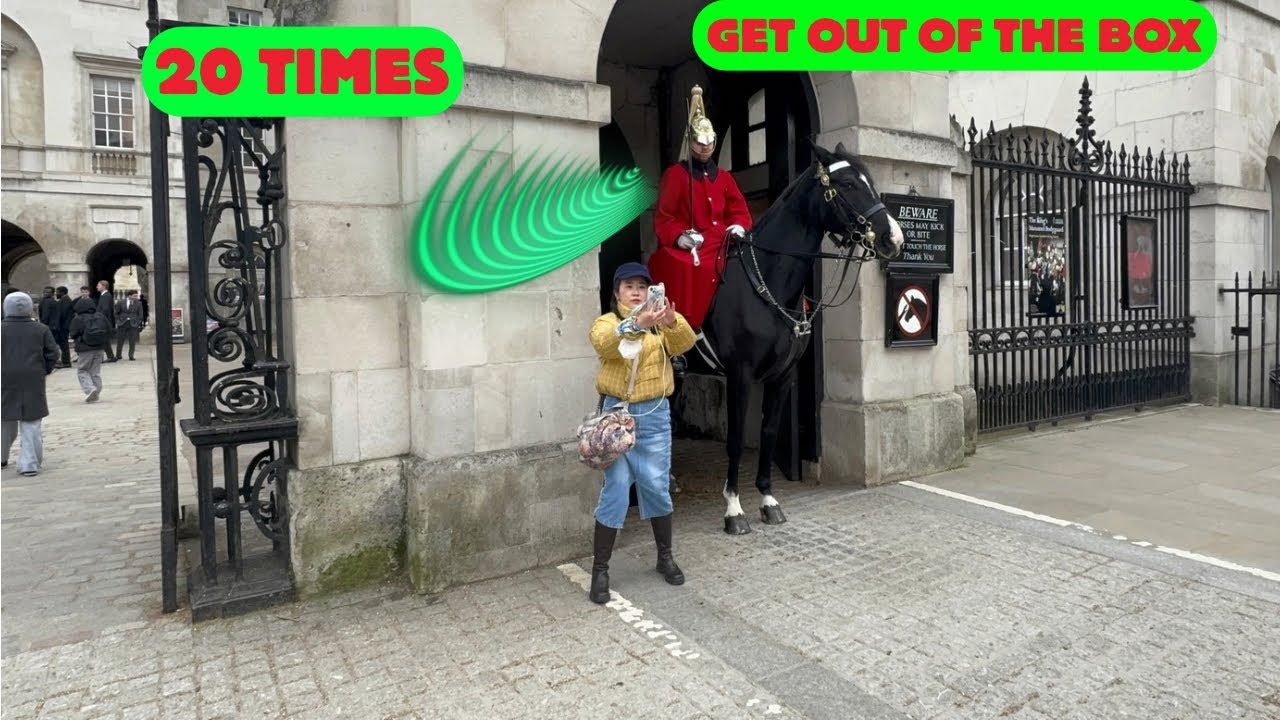 🤬20 Times the King’s Guard Put Rule Breakers in Their Place