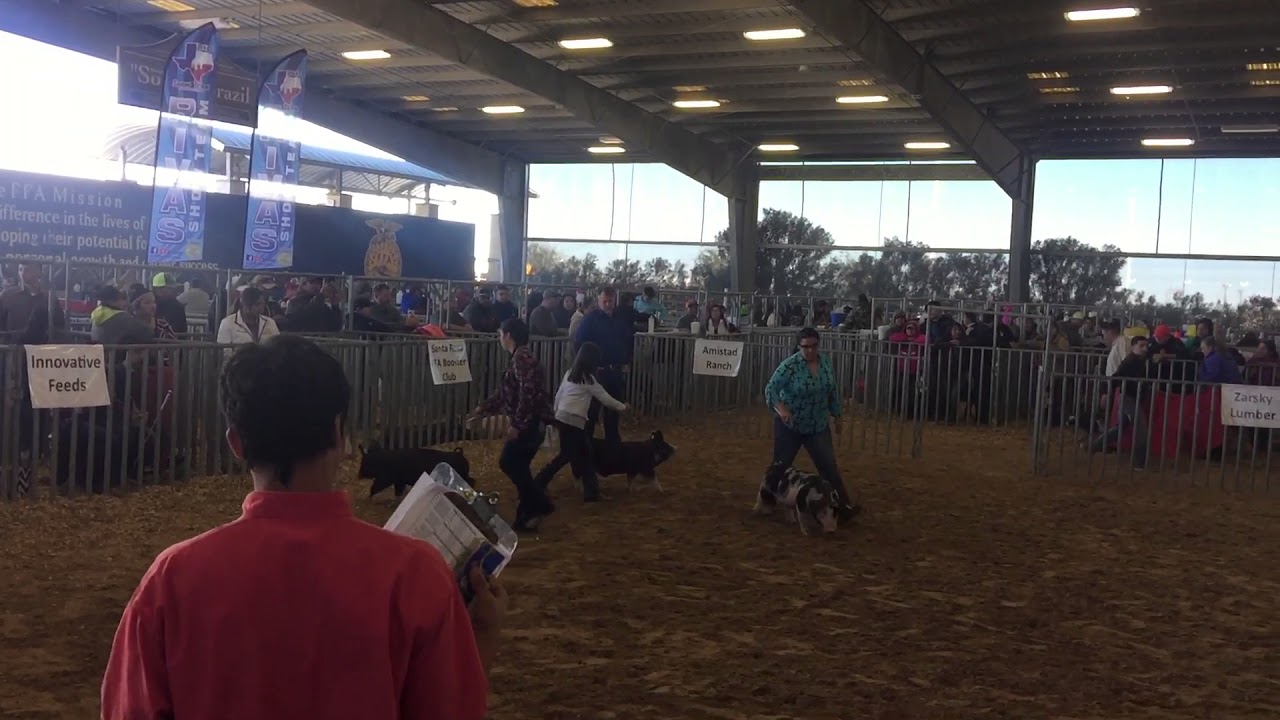 Tip-O-Tex Show In San Benito, Tx at Sonny Brazil Agriculture Complex ...2018....Dark OPB  Category