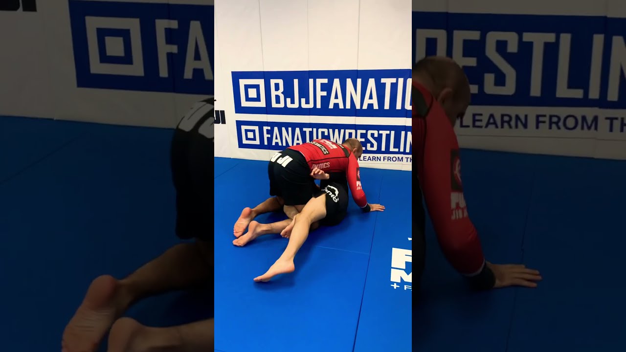 スポーツ・フィットネス Everyday Half Guard Destruction Jason H Half Guard: BJJ Fundamentals - Go Further Faster by John