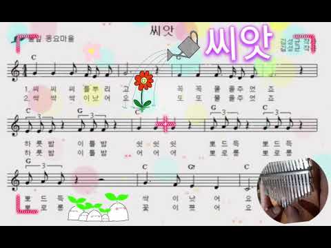 칼림바 씨앗 동요