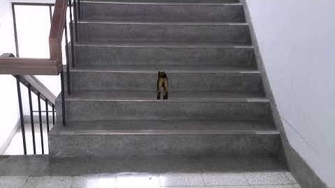 NTU VFX 2013 Assignment #3 MatchMove 02