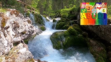 قرآن كريم سورة العلق بصوت الشيخ وديع اليمني  إقراء بسم ربك الذي خلق