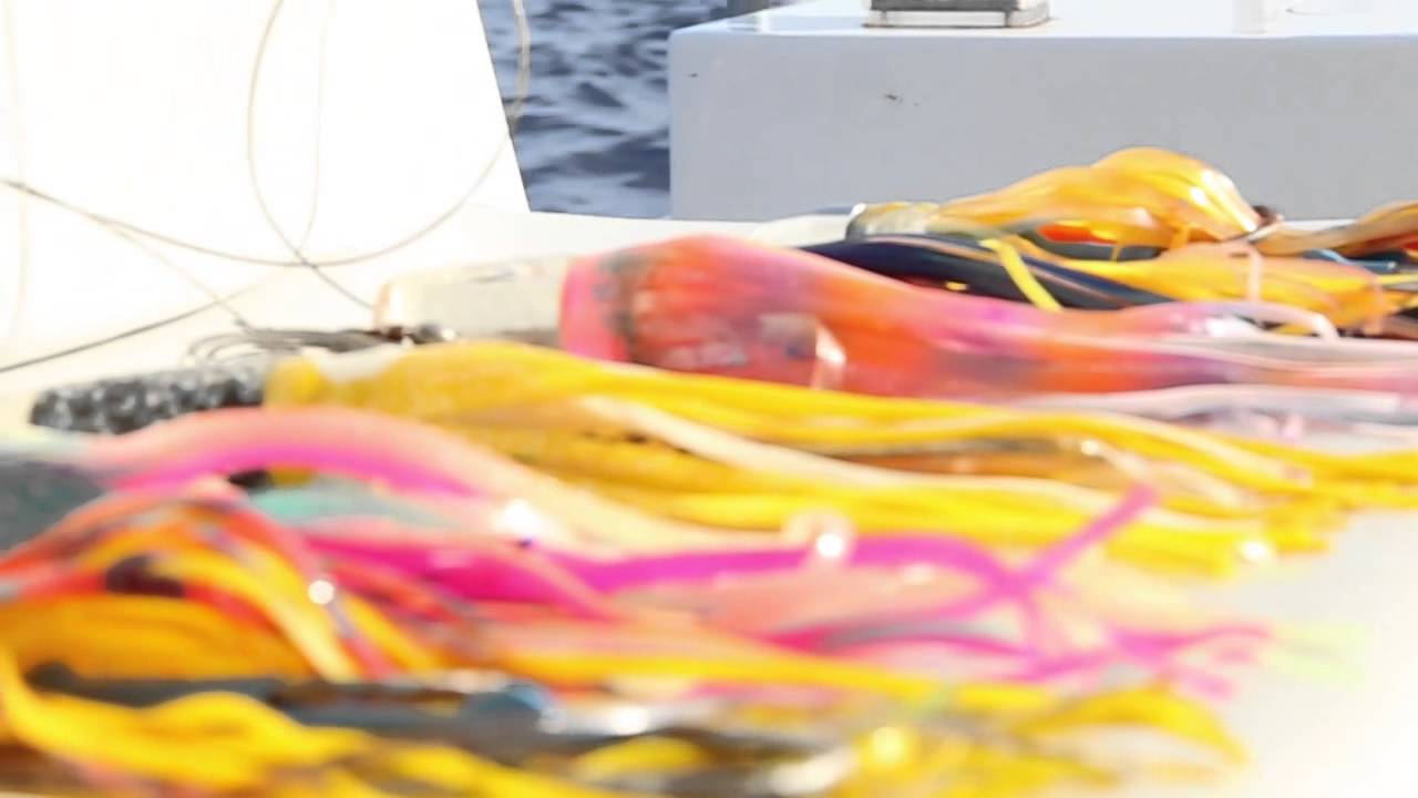 Big Game Fishing YouTube