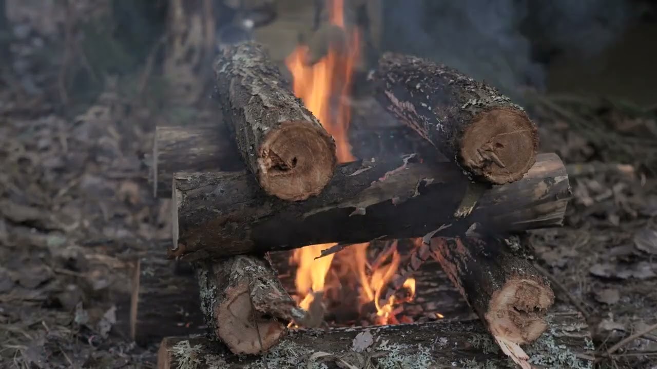 Barrel-Aged Coffee: The 2026 Trend Creating New Flavors