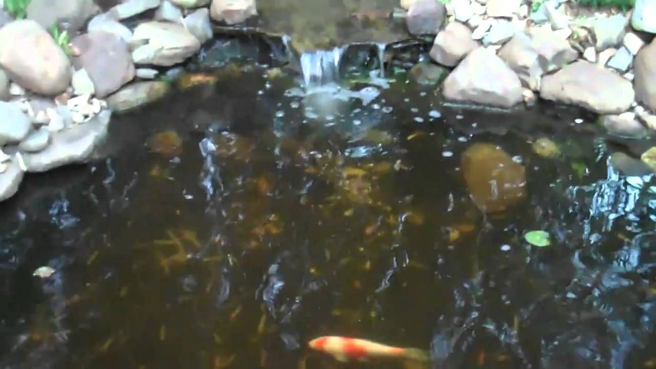 with Dinner Time with Reptar!