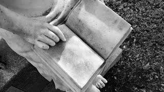 A Corn Field and an Analysis of Sanctuary by William Faulkner #nature #literature #books 